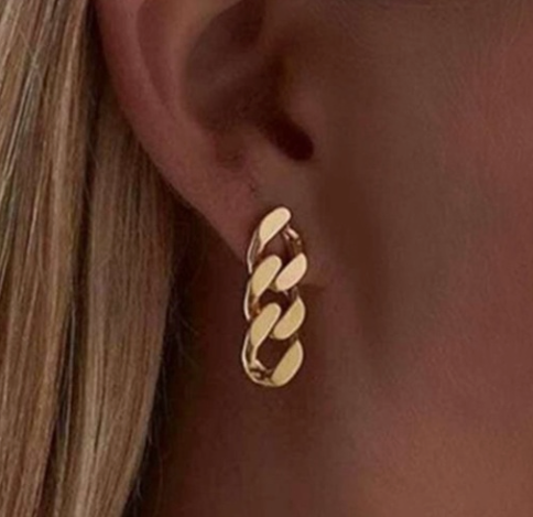 Presley Link Earrings